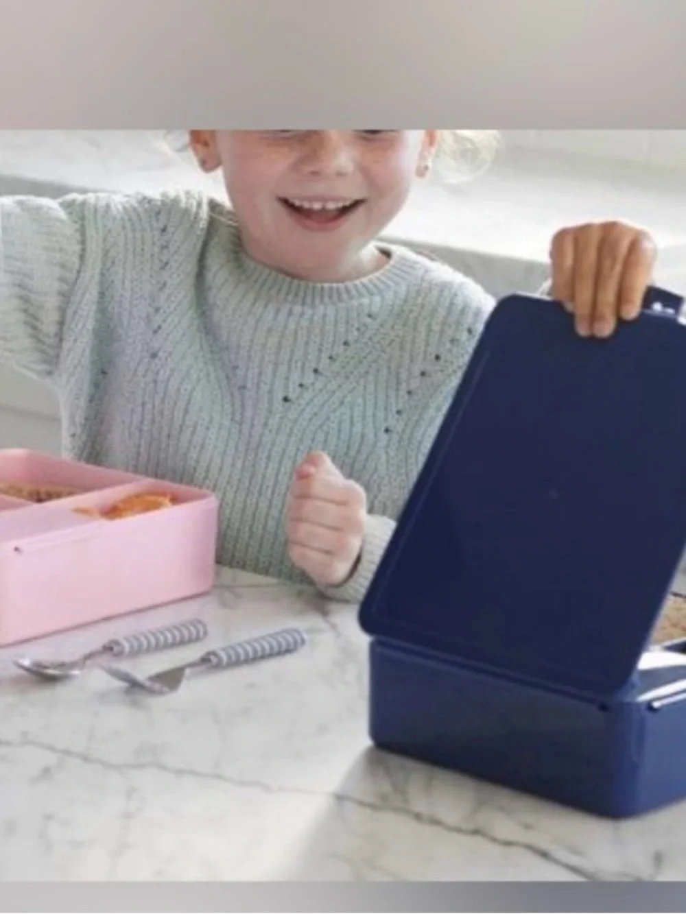 Pottery Barn All-in-One Bento Box and Utensils & Carrying Case Set